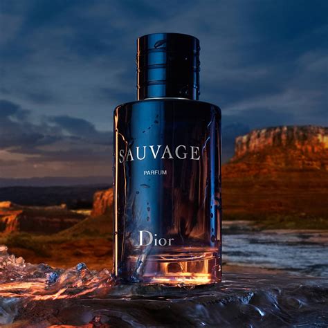 dior sauvage parfum note|dior sauvage price.